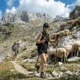 Wanderer auf den Peaks of the Balkans auf eigene Faust, vorbei an einer Schafherde auf steilem Bergpfad.