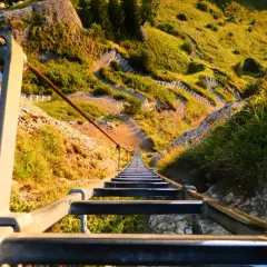 Lange Leiter führt steil einen Berg hinauf. Ein Drahtseil sichert den Weg.