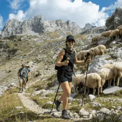 Wanderer auf den Peaks of the Balkans auf eigene Faust, vorbei an einer Schafherde auf steilem Bergpfad.