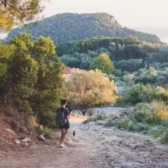 Frau mit Rucksack und Hund genießt eine Wanderung in Deutschland. Die Sonne beleuchtet die hügelige Landschaft mit Bäumen und Felsen.