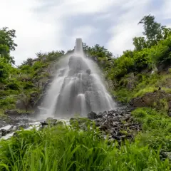 Der Trusetaler Wasserfall stürzt über Felsen in die Tiefe, umgeben von üppigem Grün.