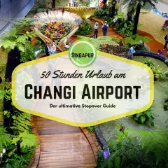 Üppige Pflanzen und ein Wasserfall im **Singapur Flughafen** Changi. Ein Schild wirbt für "50 Stunden Urlaub am Changi Airport".