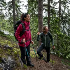 Zwei Wanderer mit Stöcken im Wald. Sie genießen die Natur, was auch Waldbaden ist.