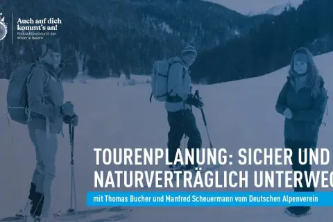 Drei Personen in Winterkleidung mit Rucksäcken und Skistöcken genießen die verschneite Landschaft. Sie planen ihre Touren auf den Loipen Bayerns.