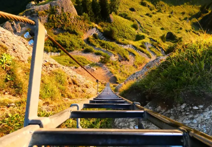 Lange Leiter führt steil einen Berg hinauf. Ein Drahtseil sichert den Weg.