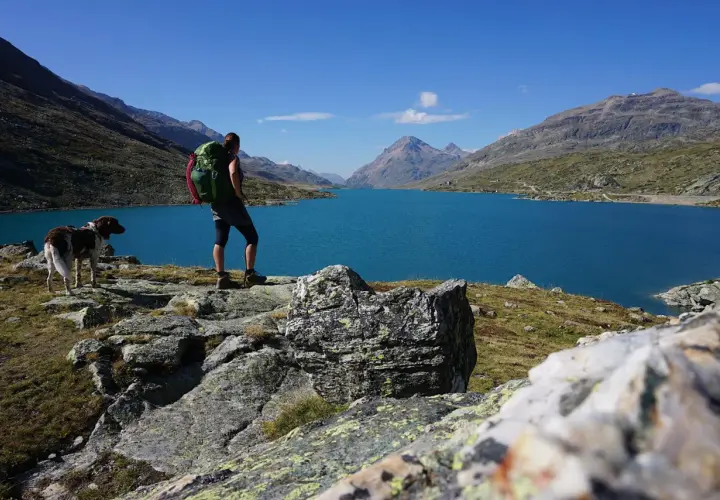 Wanderer mit Rucksack und Hund genießen den Ausblick auf einen türkisfarbenen See in den Alpen. Perfekt für mehrtageswanderungen.