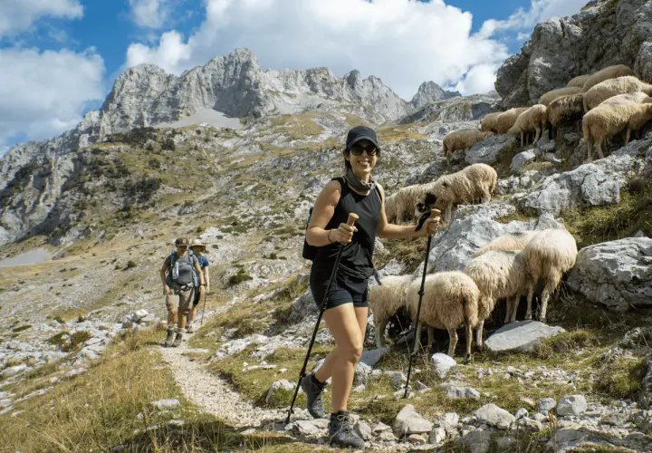 Wanderer auf den Peaks of the Balkans auf eigene Faust, vorbei an einer Schafherde auf steilem Bergpfad.