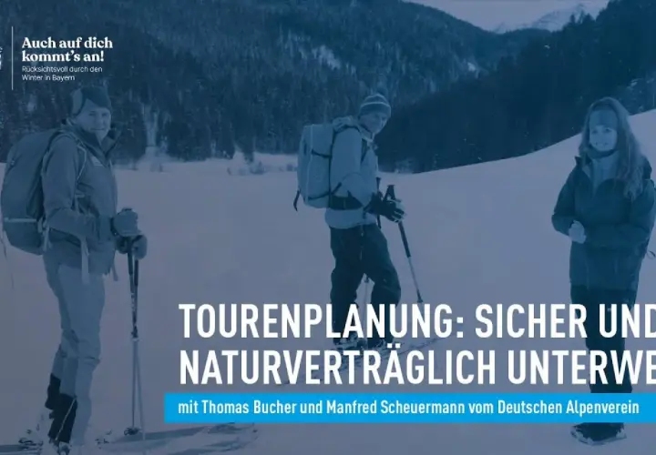 Drei Personen in Winterkleidung mit Rucksäcken und Skistöcken genießen die verschneite Landschaft. Sie planen ihre Touren auf den Loipen Bayerns.