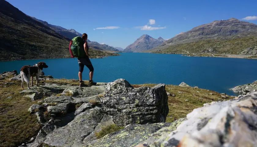 Wanderer mit Rucksack und Hund genießen den Ausblick auf einen türkisfarbenen See in den Alpen. Perfekt für mehrtageswanderungen.