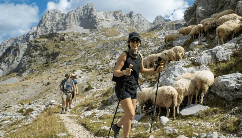 Wanderer auf den Peaks of the Balkans auf eigene Faust, vorbei an einer Schafherde auf steilem Bergpfad.