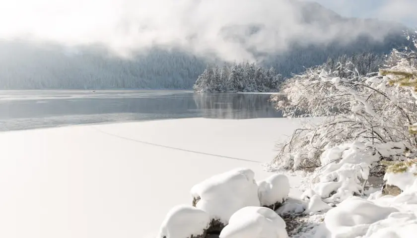 Eibsee winter: Eisbedeckter See, verschneite Bäume und Berge im Nebel. Ein friedlicher Anblick der Natur.