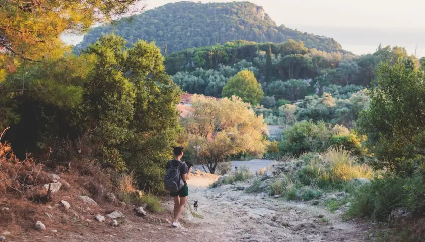 Frau mit Rucksack und Hund genießt eine Wanderung in Deutschland. Die Sonne beleuchtet die hügelige Landschaft mit Bäumen und Felsen.