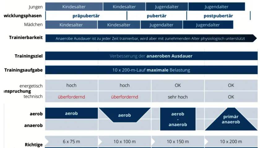 Tabelle zeigt, wie anaerobes Training altersabhängig angepasst wird, von Kindesalter bis Jugendalter, mit Fokus auf anaerobe Ausdauer.