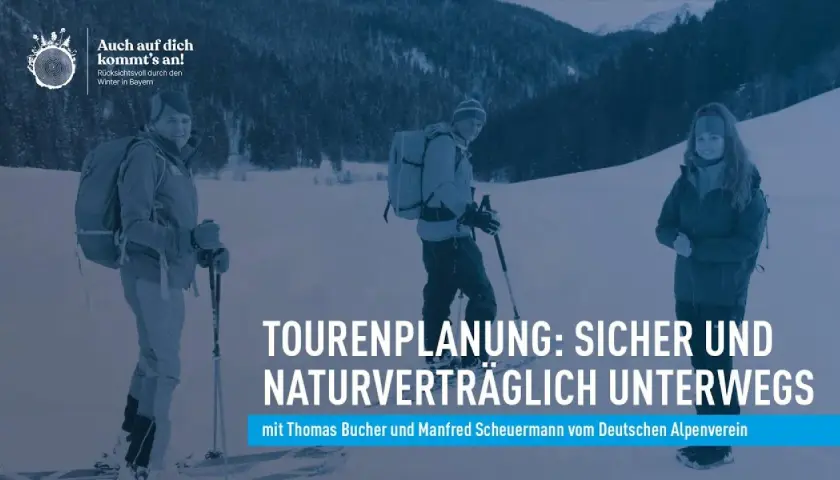 Drei Personen in Winterkleidung mit Rucksäcken und Skistöcken genießen die verschneite Landschaft. Sie planen ihre Touren auf den Loipen Bayerns.