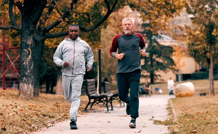 Halbmarathon-Vorbereitung - Dein Plan für Erfolg & Gesundheit