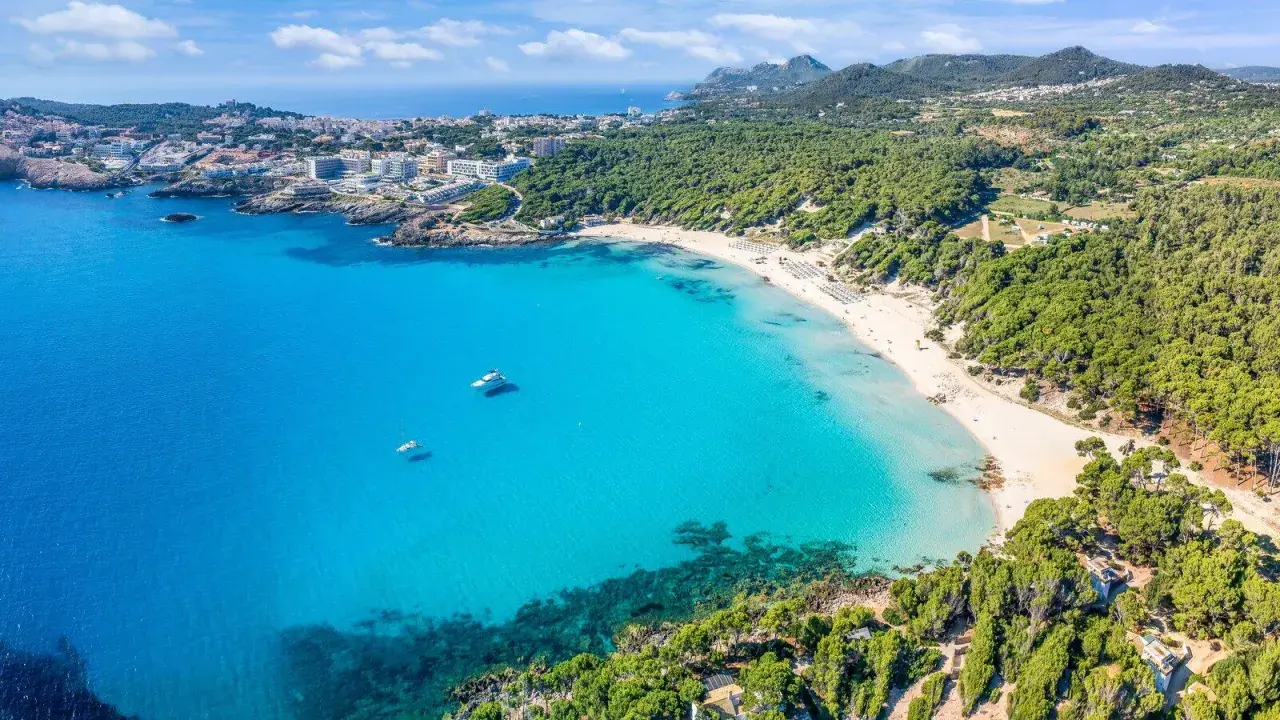 Traumhafte Bucht mit türkisfarbenem Wasser, weißem Sandstrand und Pinienwäldern. Ideal für einen fernwanderweg auf Mallorca.