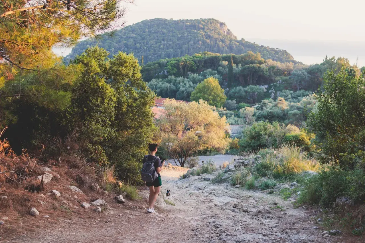 Frau mit Rucksack und Hund genießt eine Wanderung in Deutschland. Die Sonne beleuchtet die hügelige Landschaft mit Bäumen und Felsen.