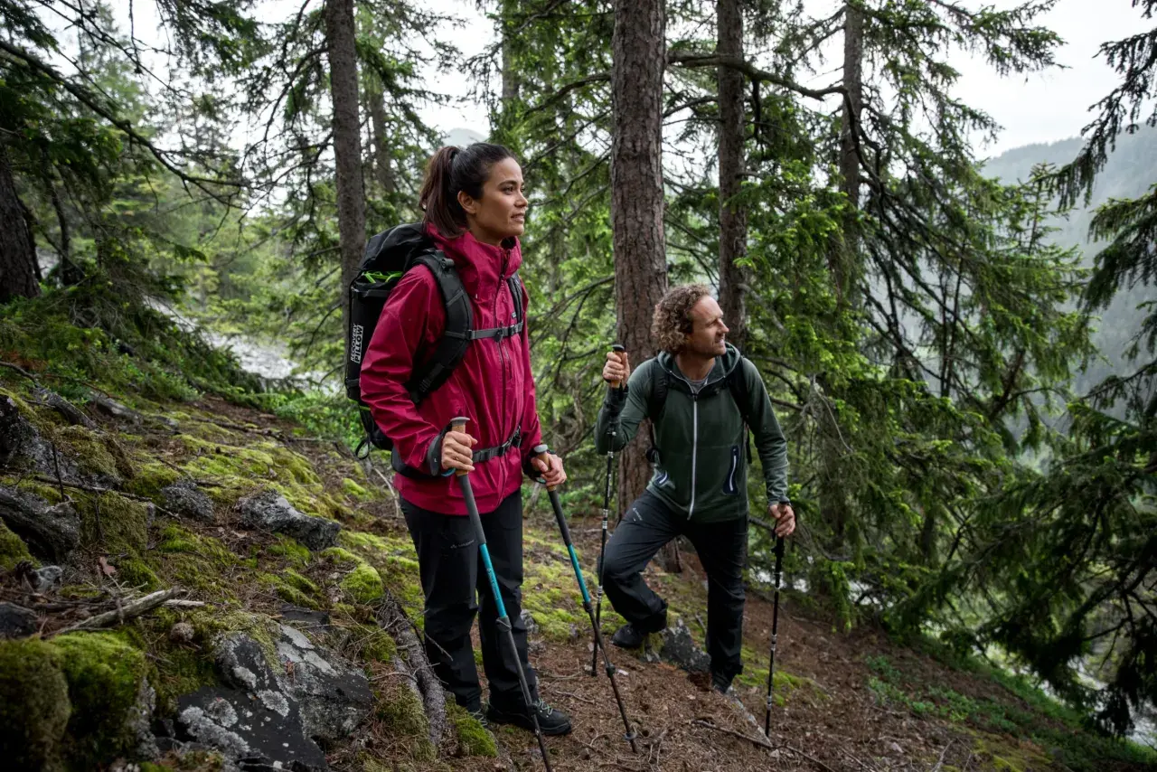 Zwei Wanderer mit Stöcken im Wald. Sie genießen die Natur, was auch Waldbaden ist.