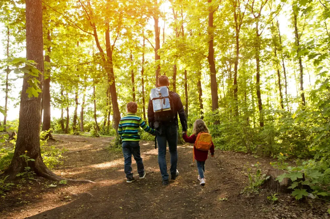 Vater und Kinder genie&szlig;en das Wandern mit Kleinkind im sonnigen Wald.