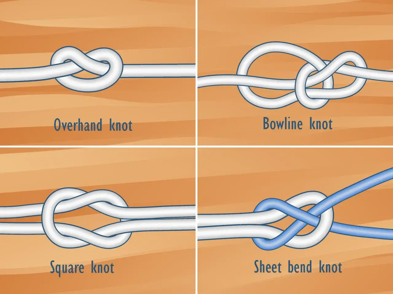Vier verschiedene Knoten seil: &Uuml;berhandknoten, Palstek, Kreuzknoten und Schotstek.