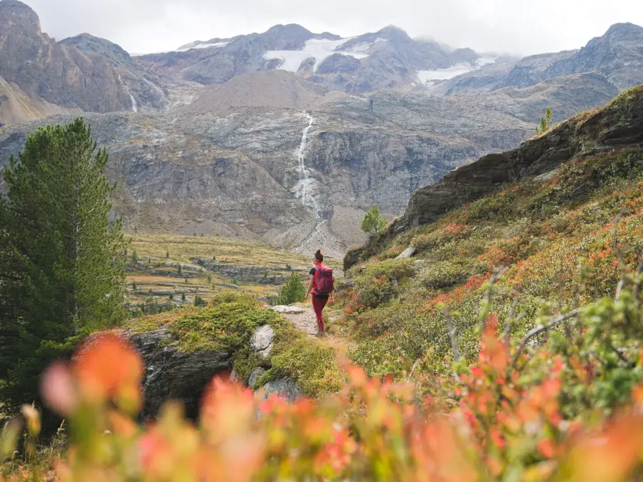 Wanderin in den Alpen im Oktober, mit bunten Büschen und schneebedeckten Gipfeln im Hintergrund.