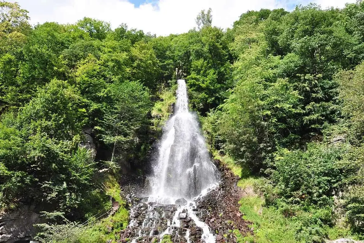 Der Trusetaler Wasserfall st&uuml;rzt tosend in die Tiefe, umgeben von &uuml;ppigem Gr&uuml;n. Ein malerisches Naturschauspiel.