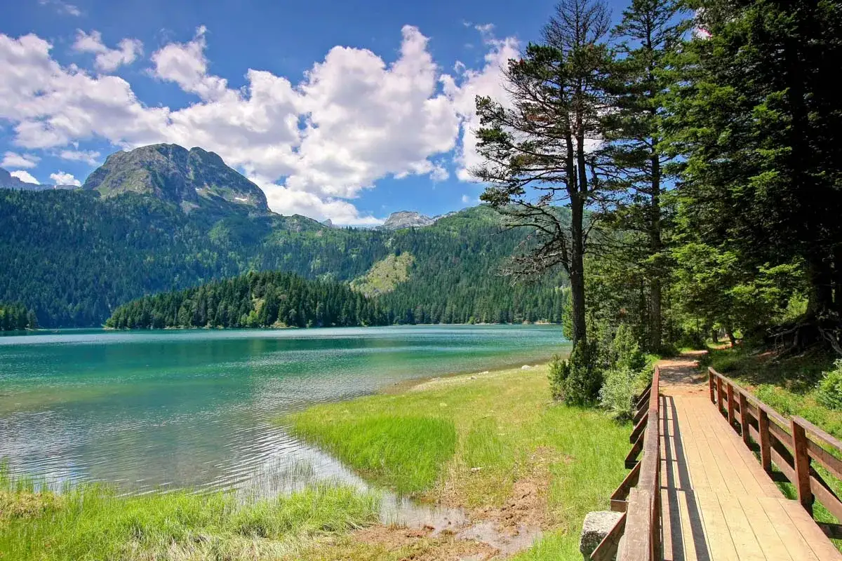 Ein Holzsteg f&uuml;hrt durch gr&uuml;nes Gras am Ufer eines t&uuml;rkisfarbenen Sees im Durmitor Nationalpark. Perfekt f&uuml;r eine Wanderung.