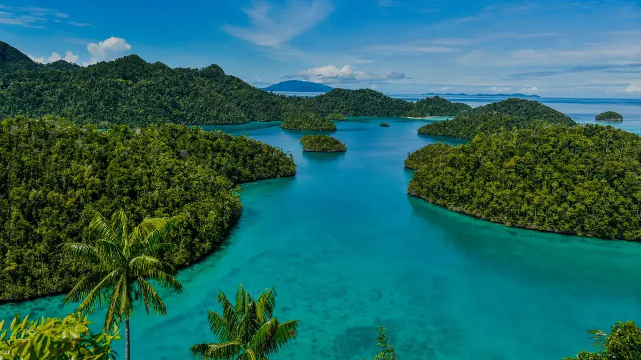 Paradiesische Inseln mit üppiger Vegetation und türkisfarbenem Wasser. Ein absolutes Must-See in Indonesien!